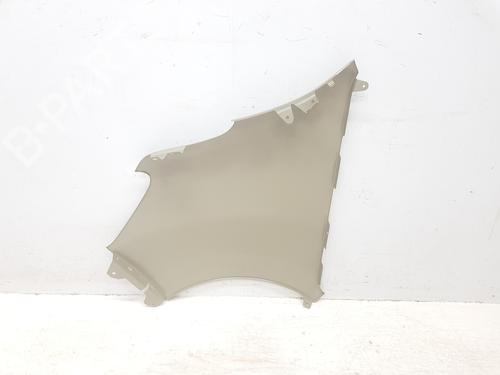 Right front fenders RENAULT MASTER III Van (FV) 2.3 dCi 135 FWD (FV0N, FV08, FV06, FV00, FV1S) | BP32198585C42 