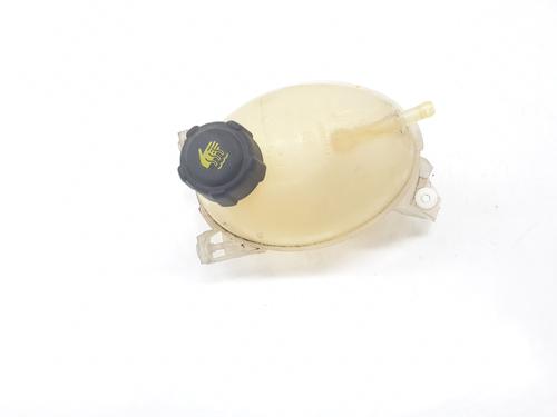 Expansion tank DACIA SANDERO II  | BP29617022C120 