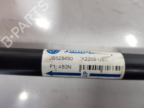 Tailgate lift support AUDI A3 Sportback (8PA) 2.0 TDI 16V | BP14080533C138 
