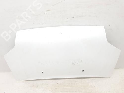 Hood FORD TRANSIT CONNECT (P65_, P70_, P80_) 1.8 TDCi | BP29575400C1 