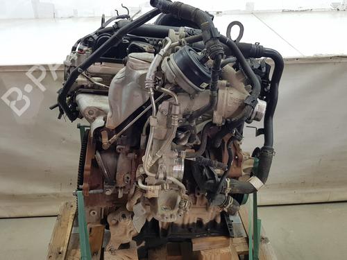 Engine FORD RANGER (TKE) | BP35981591M1 - Image 4