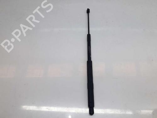 Hood lift support MERCEDES-BENZ C-CLASS (W205) C 220 BlueTEC / d (205.002, 205.004) | BP14079069C139 