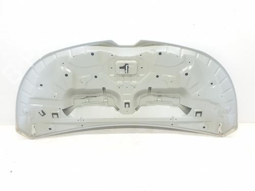 Hood RENAULT TRAFIC III Van (FG_) 1.6 dCi 140 (FGMA, FGMC) | BP29942156C1