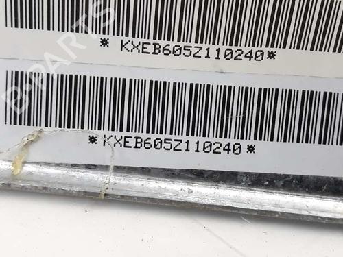 Right curtain airbag NISSAN PATHFINDER III (R51) 2.5 dCi | BP3386761C12 