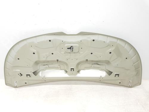 Hood RENAULT TRAFIC III Van (FG_) 1.6 dCi 140 (FGMA, FGMC) | BP30262850C1 