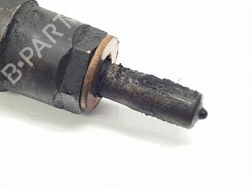 Injector LAND ROVER DISCOVERY III (L319) 2.7 TD 4x4 | BP22902355M100 