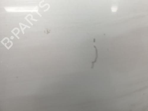 Hood LAND ROVER RANGE ROVER SPORT I (L320) 2.7 D 4x4 | BP27363261C1