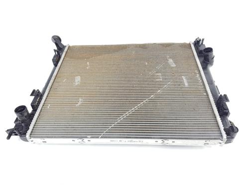 Used Water radiator RENAULT AUSTRAL [2022-2026]  32712981