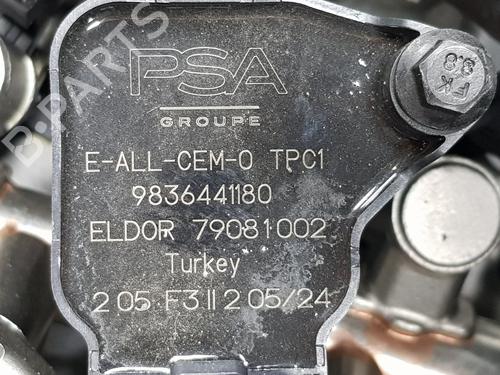 Engine FIAT 600e / 600 (365_, 364_)  | BP32072537M1 