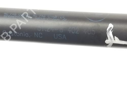 Tailgate lift support BMW X5 (E53) 3.0 d | BP14108319C138 
