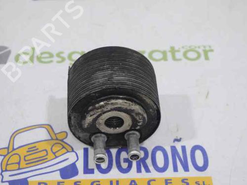 Oil radiator NISSAN PATHFINDER III (R51) 2.5 dCi 4WD | BP14121095M33 