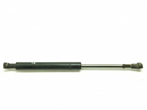 Hood lift support BMW 3 (E46) 320 d | BP20190729C139
