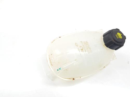 expansion-tank-renault-arkana-i-lcm_-ldn_-2019-32632452 main image