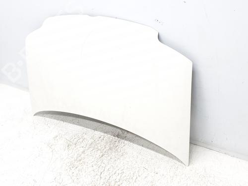 Hood FIAT PANDA (169_) 1.2 4x4 (169.AXB2A) | BP19098261C1