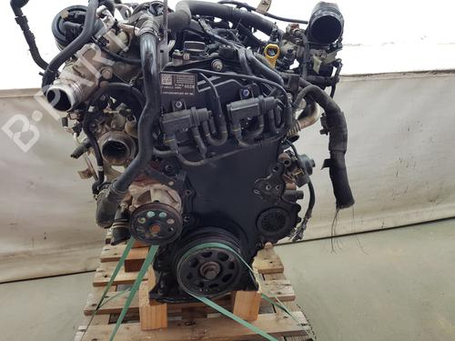 Engine FORD RANGER (TKE) | BP35981591M1 - Image 6