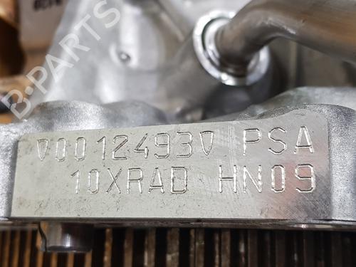 Engine FIAT 600e / 600 (365_, 364_)  | BP32072539M1 