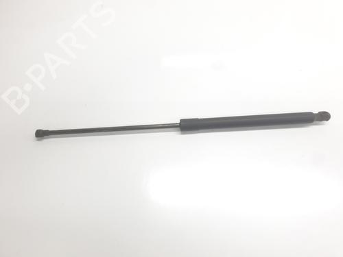 tailgate-lift-support-renault-arkana-i-lcm_-ldn_-2019-33411879 main image