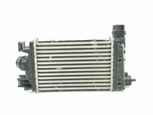 Intercooler DACIA SANDERO III 1.0 TCe 90 | BP36223558M30 - Image 4