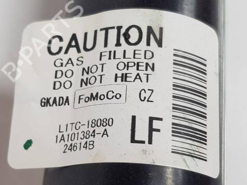 Højre bagtil støddæmper FORD PUMA (J2K, CF7) 1.0 EcoBoost | BP38524565M19 - Image 5