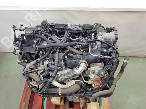 Engine FORD TRANSIT COURIER B460 MPV | BP36382292M1 - Image 19