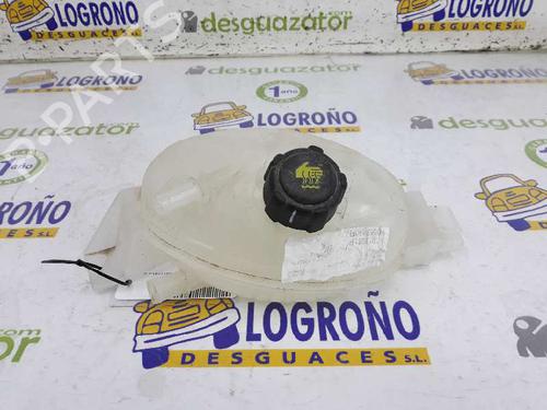 Expansion tank RENAULT MASTER III Platform/Chassis (EV, HV, UV) 2.3 dCi 135 FWD (EV0N, HV0N, UV0N, EV08, HV08, UV08) 217100015R | 217100015R |