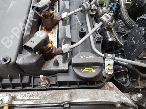 Engine FORD RANGER (TKE) 3.2 TDCi 4x4 | BP36185908M1  - Image 6