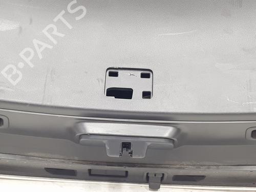 Tailgate LEXUS UX (_AA1_, _AH1_, _MA1_) 250h (MZAH10) | BP18062081C6 