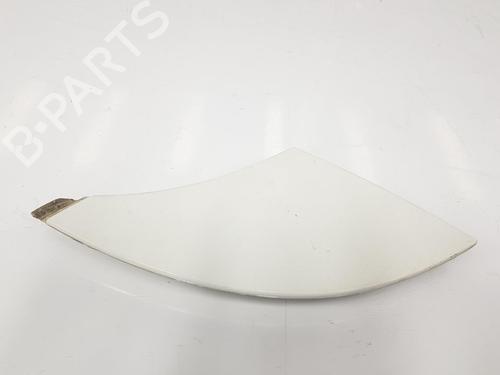 Molduras faro FIAT DUCATO Van (250_) 160 Multijet 3,0 D (158 hp) 14093341