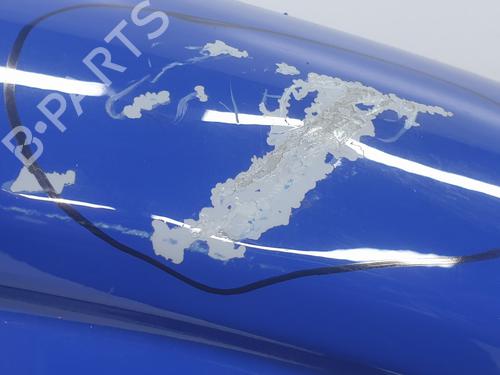 Right front door RENAULT TRAFIC III Van (FG_) 1.6 dCi 140 (FGMA, FGMC) | BP29906879C3