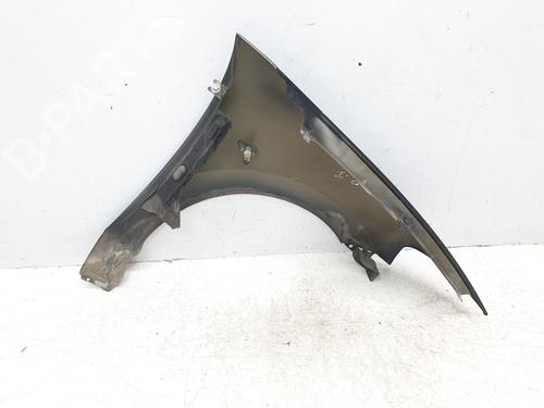 Left front fenders CITROËN C3 I (FC_, FN_) 1.4 i Bivalent | BP25051243C41 