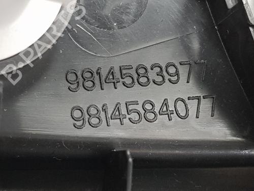 Interior roof light PEUGEOT 3008 II SUV (MC_, MR_, MJ_, M4_) 1.5 BlueHDi 130 | BP26973868I8