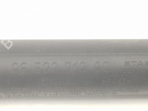 Tailgate lift support PEUGEOT 307 CC (3B) 1.6 16V | BP17638081C138 