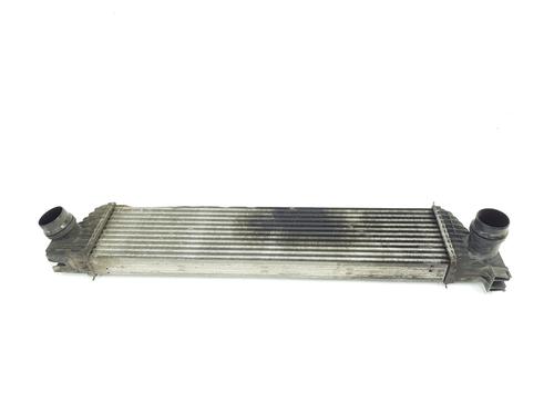 Used Intercooler Intercooler RENAULT MASTER III Platform/Chassis (EV, HV, UV) [2010-2026] 36306055 36306055