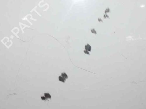 Hood SEAT TOLEDO III (5P2) 1.9 TDI | BP3422459C1