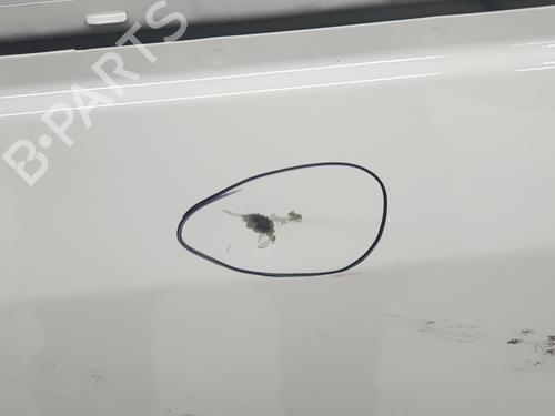 Left front door RENAULT TRAFIC III Van (FG_) 1.6 dCi 140 (FGMA, FGMC) | BP30391517C2