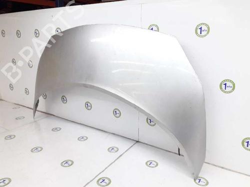Hood RENAULT GRAND SCÉNIC II (JM0/1_) 1.9 dCi | BP800047C1 
