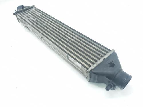 Intercooler OPEL COMBO Box Body/MPV (X12) 1.3 CDTI (B05) | BP16895923M30 
