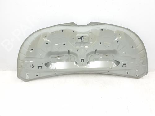 Hood RENAULT TRAFIC III Van (FG_) 1.6 dCi 140 (FGMA, FGMC) | BP29953731C1