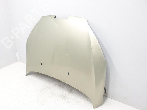 Hood PEUGEOT 407 (6D_) 2.0 (6DRFNB, 6DRFNE) | BP16919710C1