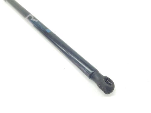 Hood lift support MERCEDES-BENZ E-CLASS (W212) E 220 CDI / BlueTEC (212.001, 212.002) | BP18294217C139 