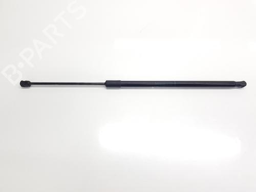 tailgate-lift-support-dacia-jogger-rk_-2021-33269764 main image