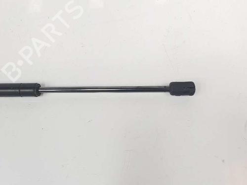 Hood lift support LAND ROVER RANGE ROVER SPORT I (L320) 3.6 D 4x4 | BP14083260C139 