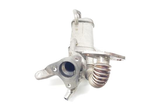 Egr NISSAN JUKE (F15) 1.5 dCi | BP31958100M69 