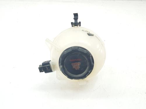 Used Expansion tank SKODA FABIA III (NJ3) 1.0 TSI (95 hp) 22551559