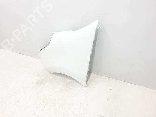 Left front fenders RENAULT MASTER III Van (FV) 2.3 dCi 125 RWD (FV0C, FV0D, FV0H, FV0J, FV0A, FV0K) | BP30395632C41