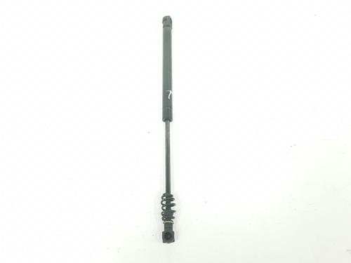 Tailgate lift support BMW 1 (E87) 123 d | BP14106189C138 
