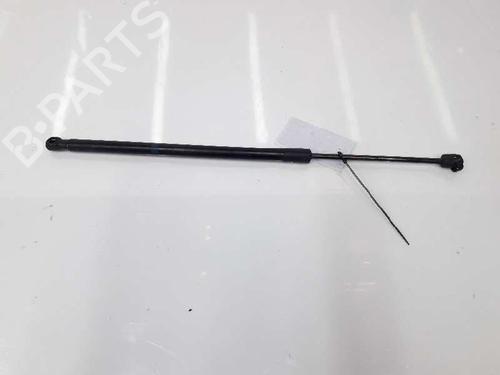 Hood lift support MERCEDES-BENZ C-CLASS (W204) C 220 CDI (204.008) | BP14072587C139 