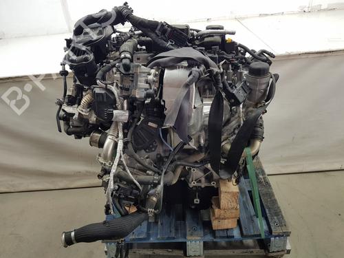 Engine LAND ROVER RANGE ROVER EVOQUE (L551) | BP31991976M1