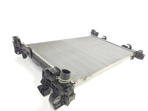 Water radiator RENAULT TRAFIC III Van (FG_) 2.0 dCi 120 (FGMN) | BP29915092M31 