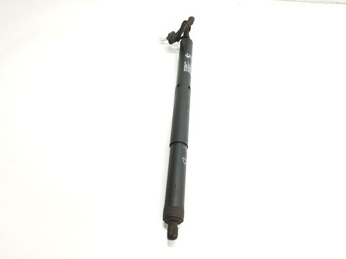 Tailgate lift support BMW X5 (F15, F85) xDrive 25 d | BP29716384C138 